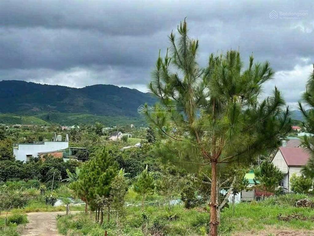 2214m2 có thổ cư ngang 20m view đẹp giá 2ty2 cho cả lô quá tốt làm nhà nghỉ dưỡng ạ