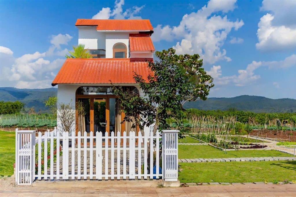 Chủ gửi 200m2 có thổ cư đang vay ngân hàng nên bán giá tốt 590tr /100%