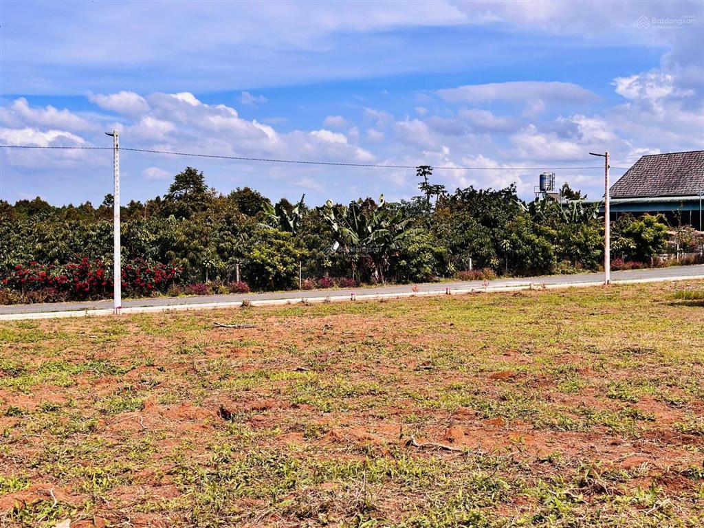 Chủ gửi 200m2 có thổ cư đang vay ngân hàng nên bán giá tốt 590tr /100%