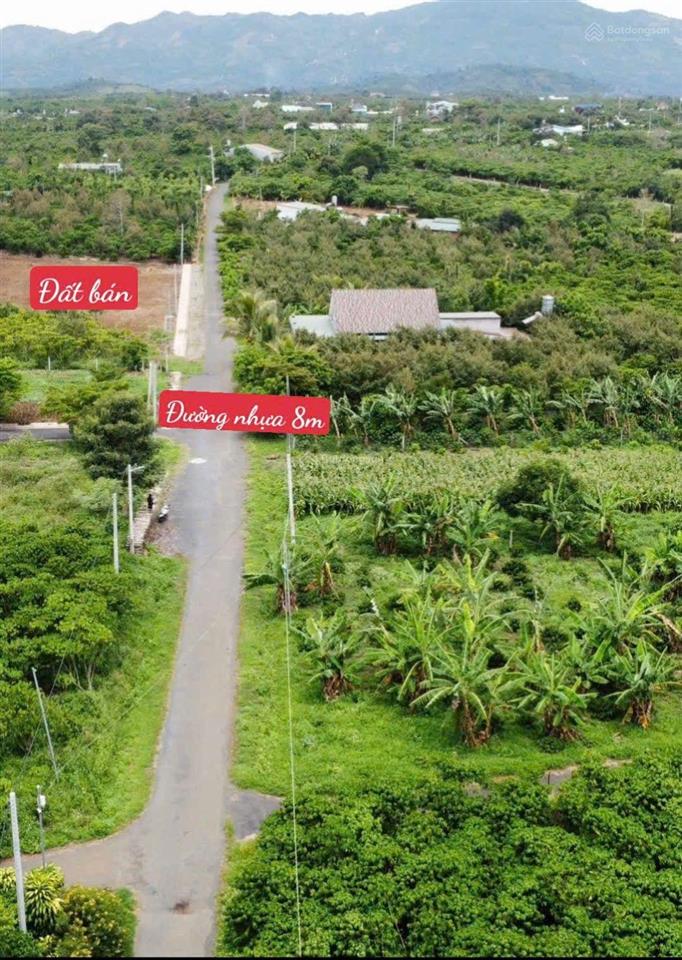 Chủ gửi 200m2 có thổ cư đang vay ngân hàng nên bán giá tốt 590tr /100%