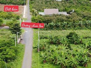 Chủ gửi 200m2 có thổ cư đang vay ngân hàng nên bán giá tốt 590tr /100%