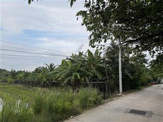 Chuyển nhượng 1.750m2 đất vuờn đường đoàn nguyễn tuấn, tân quý tây, bình chánh, hcm, giá 18 tỷ vnd