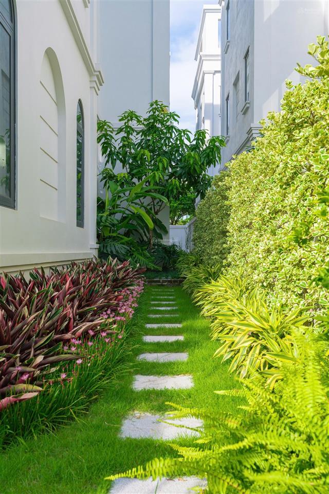 Cđt mở bán biệt thự dương nội tại khu b solasta mansion chỉ từ nhỉnh 25tỷ 170m.  0963 689 ***