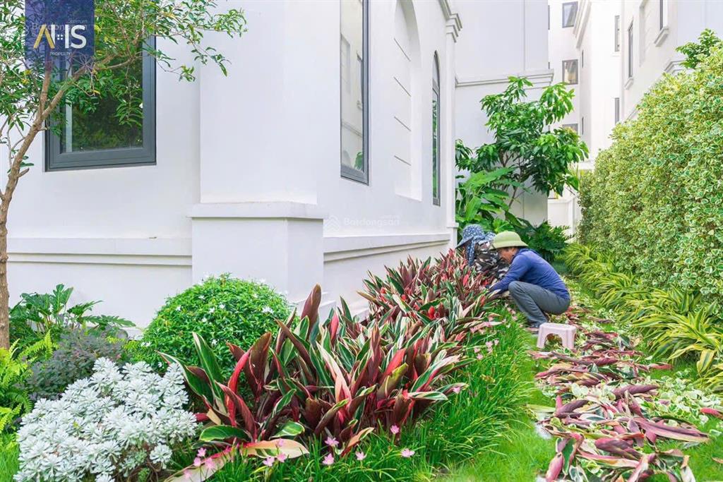 Cđt mở bán biệt thự dương nội tại khu b solasta mansion chỉ từ nhỉnh 25tỷ 170m.  0963 689 ***