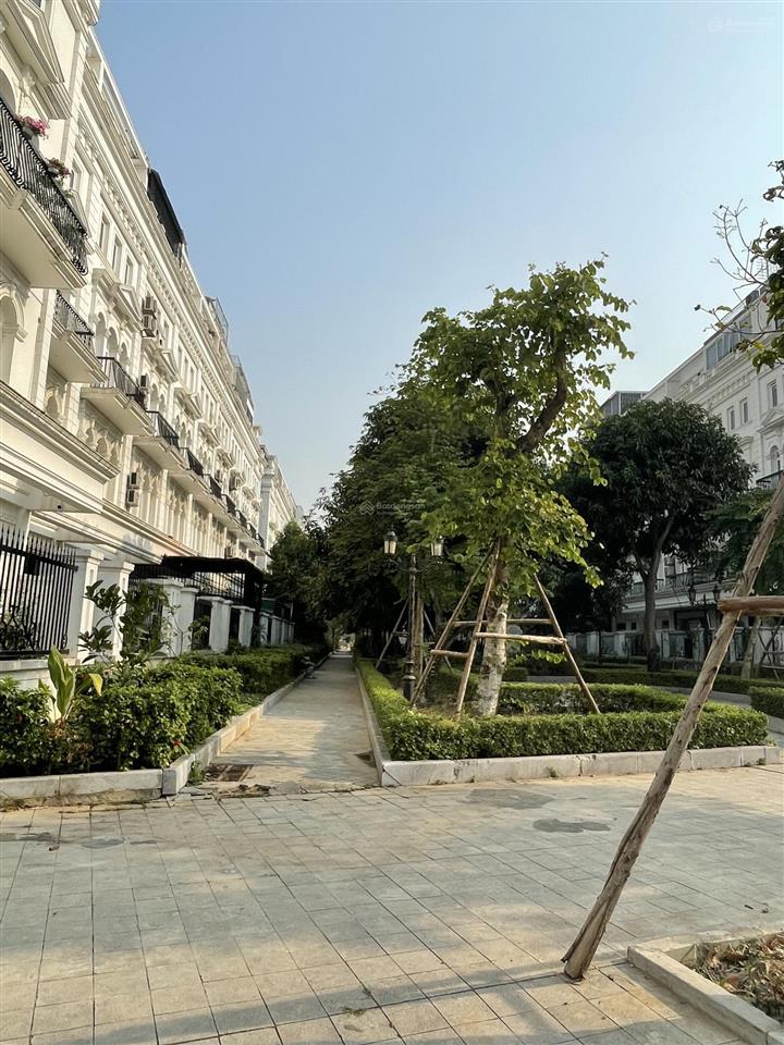 Bán gấp liền kề hoàn thiện thang máy 96m2 louis city đại mỗ bán nhanh có sổ 24,5 tỷ.  0963 689 ***
