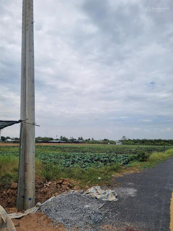 Bán đất 1500m² đất rạch kênh mương chùa, phường tân quy đông, sa đéc, đồng tháp 0903 969 ***