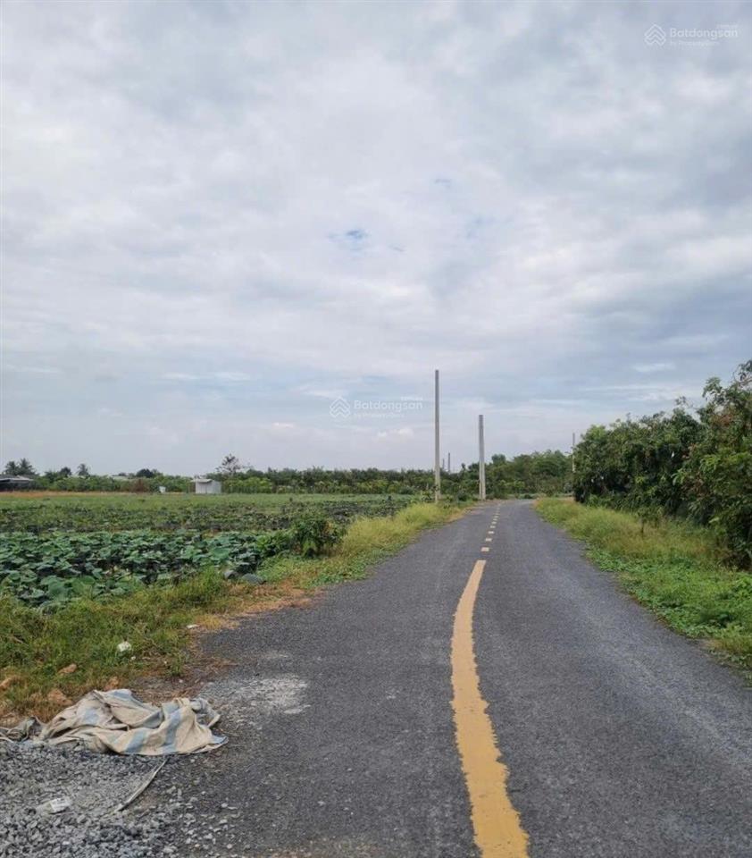 Bán đất 1500m² đất rạch kênh mương chùa, phường tân quy đông, sa đéc, đồng tháp 0903 969 ***