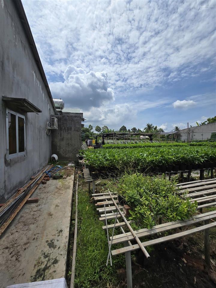 Bán 2.000m2 đất có nhà tại sa đéc, đồng tháp gần làng hoa, trung tâm hoa hoa kiểng  0903 969 ***