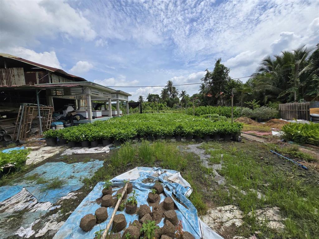 Bán 2.000m2 đất có nhà tại sa đéc, đồng tháp gần làng hoa, trung tâm hoa hoa kiểng  0903 969 ***