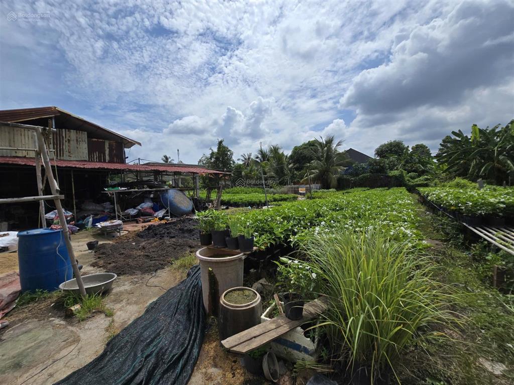 Bán 2.000m2 đất có nhà tại sa đéc, đồng tháp gần làng hoa, trung tâm hoa hoa kiểng  0903 969 ***