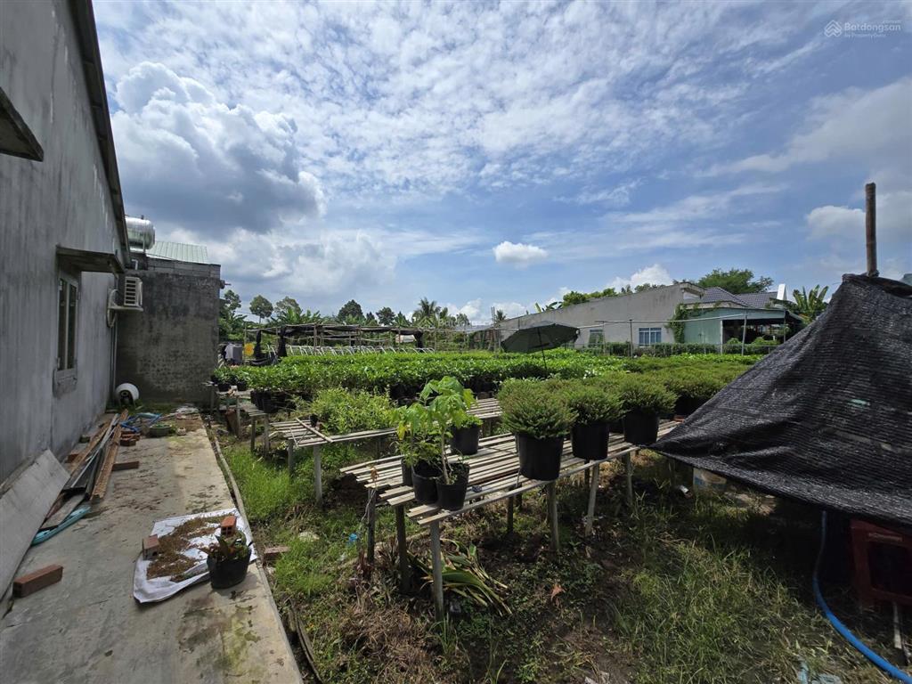 Bán 2.000m2 đất có nhà tại sa đéc, đồng tháp gần làng hoa, trung tâm hoa hoa kiểng  0903 969 ***