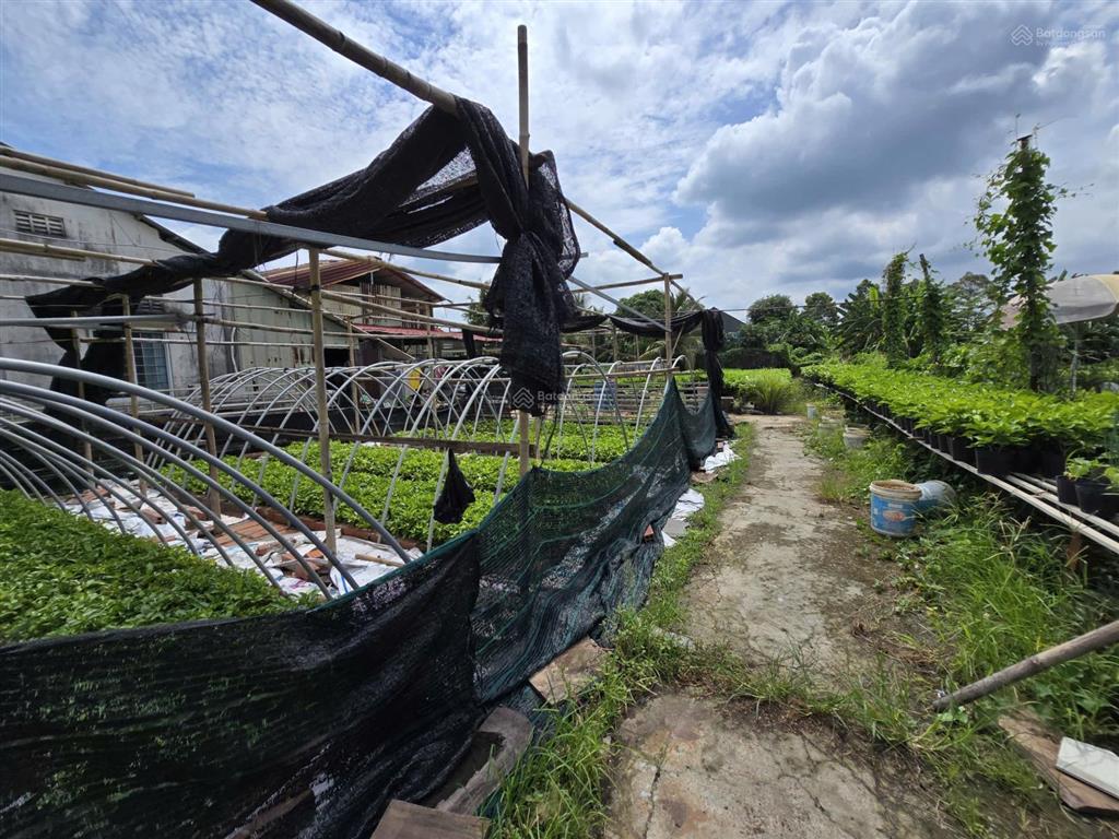 Bán 2.000m2 đất có nhà tại sa đéc, đồng tháp gần làng hoa, trung tâm hoa hoa kiểng  0903 969 ***