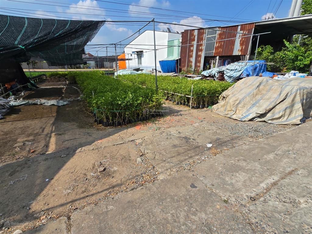 Bán 462m2 đường thiên hộ dương gần làng hoa sa đéc, đồng tháp,  0903 969 *** bảo ngọc