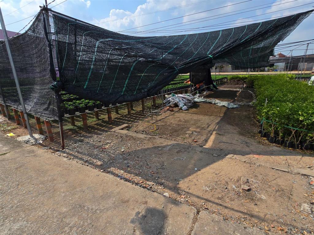 Bán 462m2 đường thiên hộ dương gần làng hoa sa đéc, đồng tháp,  0903 969 *** bảo ngọc