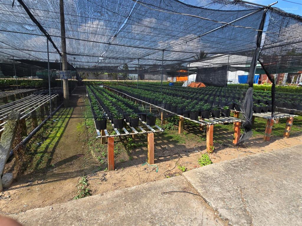 Bán 462m2 đường thiên hộ dương gần làng hoa sa đéc, đồng tháp,  0903 969 *** bảo ngọc