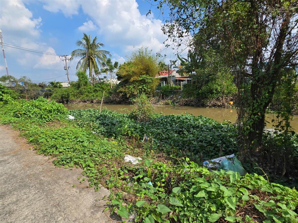 Bán 462m2 đường thiên hộ dương gần làng hoa sa đéc, đồng tháp,  0903 969 *** bảo ngọc