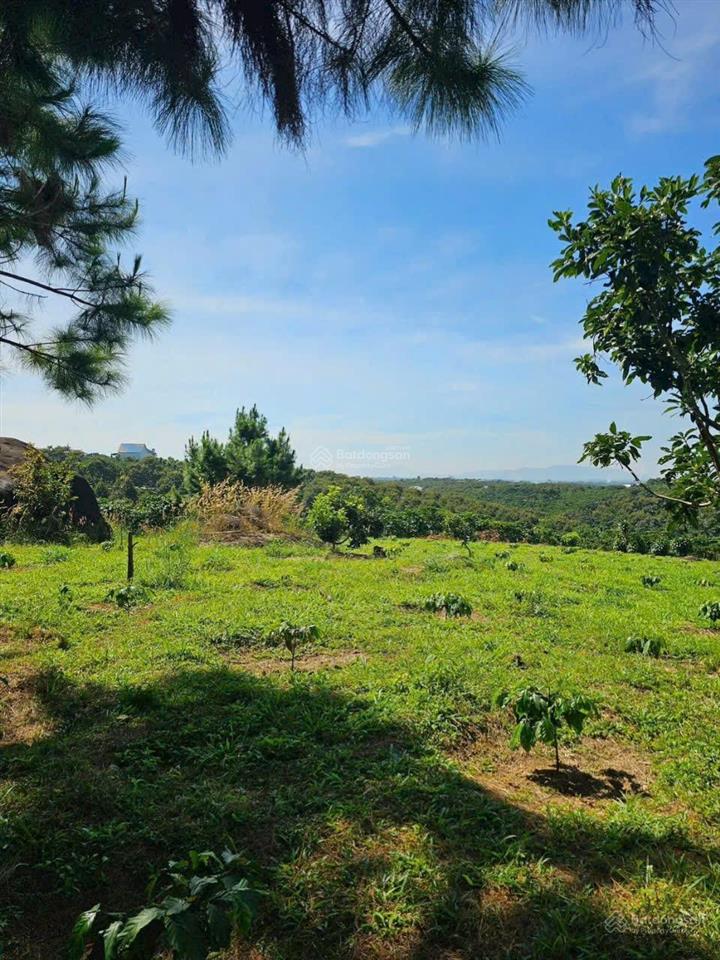 Bán đất tại xã hoà ninh, di linh, lâm đồng, 2,89 tỷ, 256 m2  giá cực chất