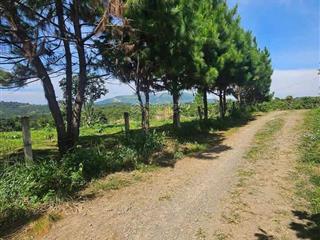 Bán đất tại xã hoà ninh, di linh, lâm đồng, 2,89 tỷ, 256 m2  giá cực chất