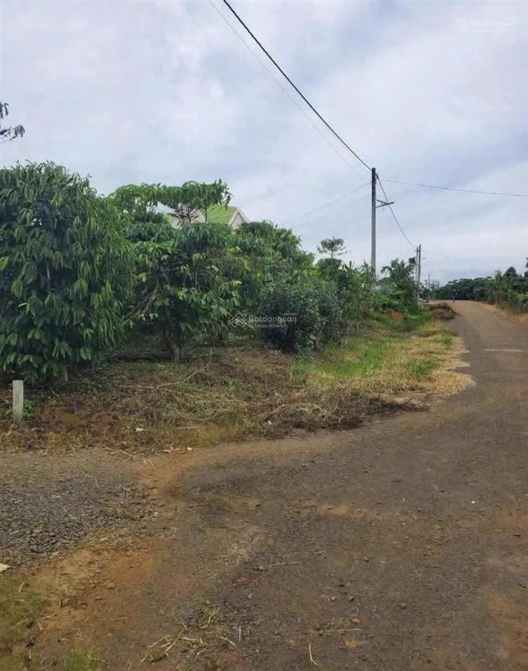 Người quen nhờ bán giúp lô chính chủ gần ngay trung tâm hoà ninh