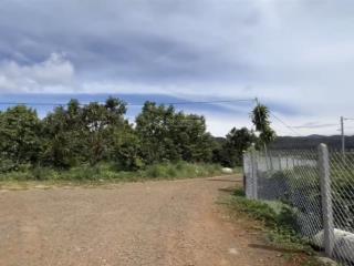 Bán đất nền tại xã hoà ninh, di linh, lâm đồng, 2,25 tỷ  hàng hiếm giá ưu đãi