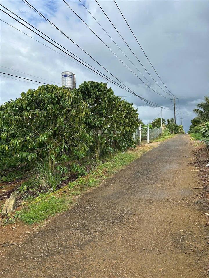 Hàng hiếm tại hoà ninh, gần ngay trung tâm 2,35 tỷ
