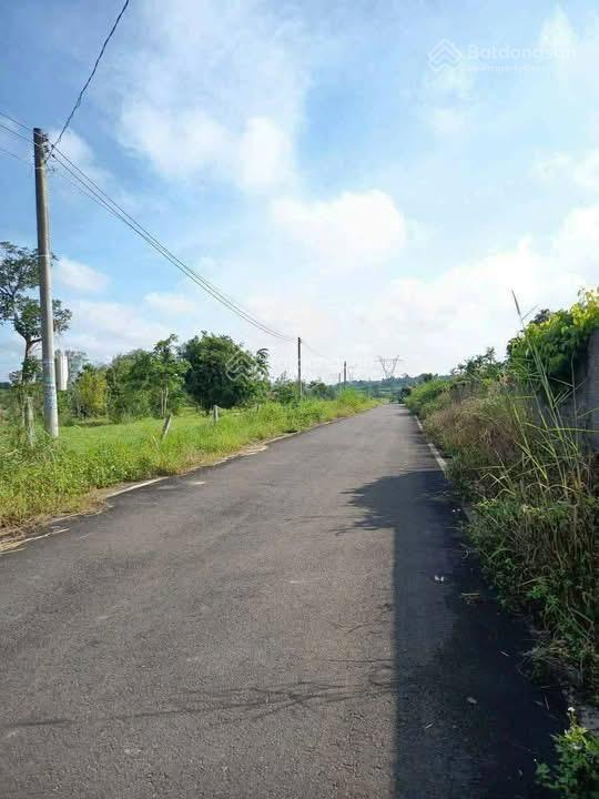 Cần bán gấp trong tháng xã hoà ninh, di linh, lâm đồng giá 1,2 tỷ