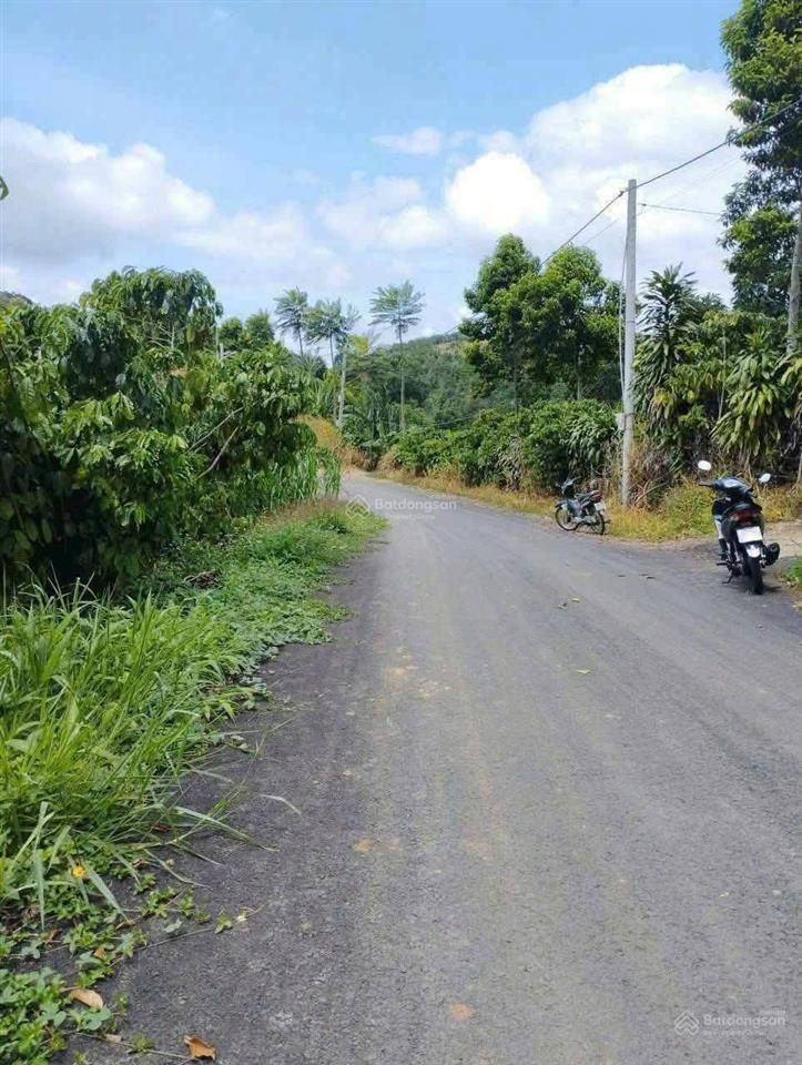 Cần bán gấp trong tháng xã hoà ninh, di linh, lâm đồng giá 1,2 tỷ