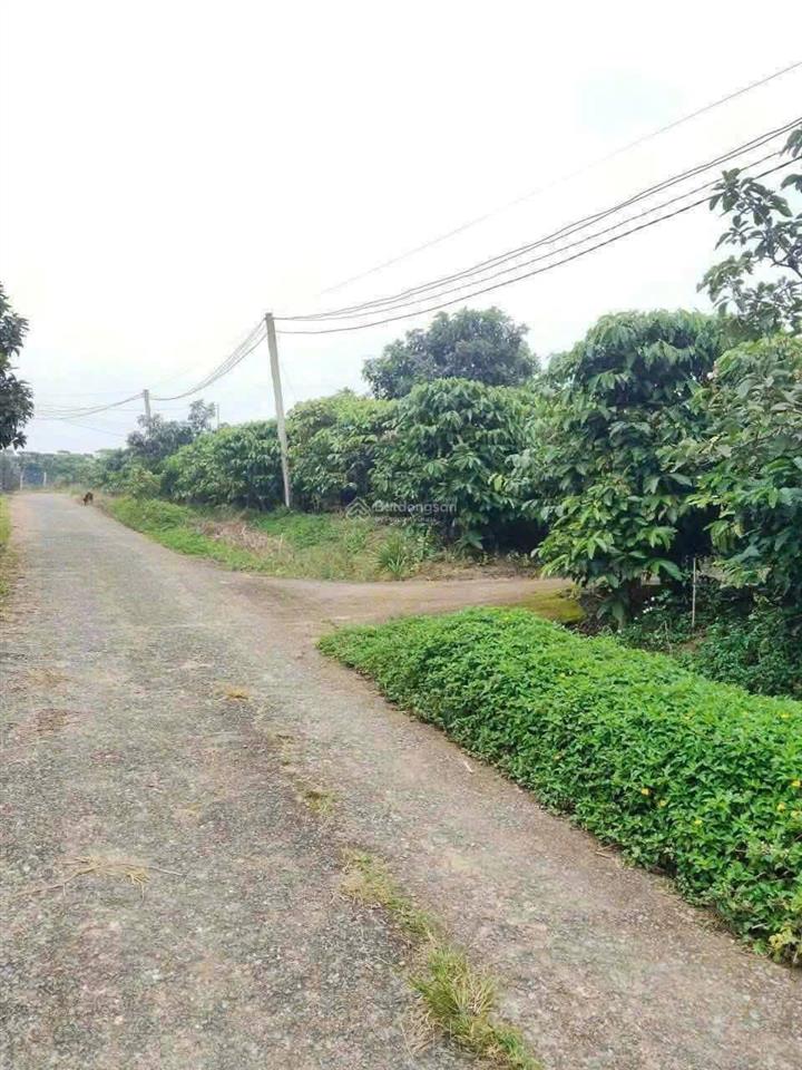 Bán gấp lô siêu đẹp xã hoà ninh, huyện di linh, lâm đồng, 1,6 tỷ