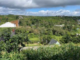 Chính chủ bán gấp xã hoà ninh, di linh, lâm đồng, giá cực chất 3,5 tỷ