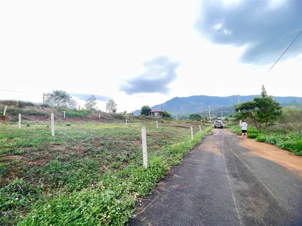 Chính chủ bán gấp xã hoà ninh, di linh, lâm đồng, giá cực chất 1 tỷ