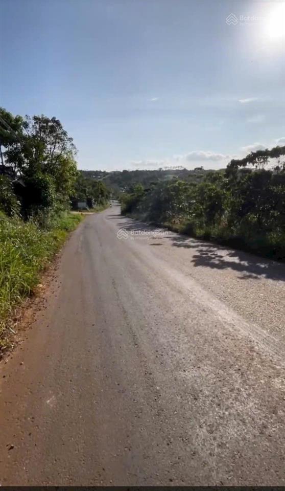 Bán gấp lô sau lưng xã hoà bắc 1,3 tỷ, hàng hiếm tại di linh, lâm đồng