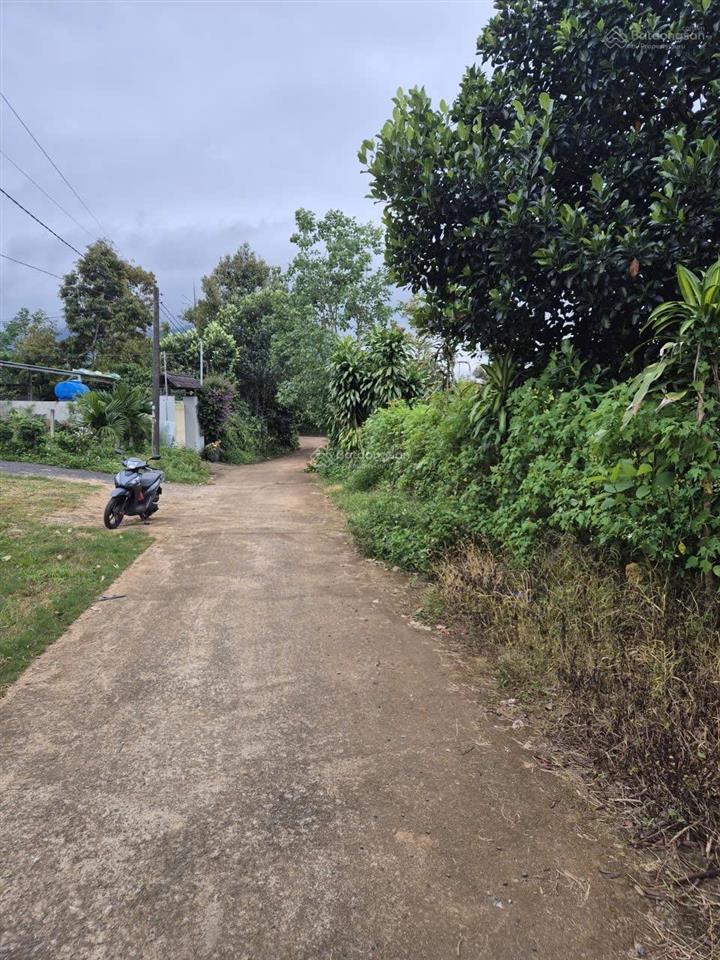 Bán gấp lô thổ cư xã hoà ninh, di linh, lâm đồng, giá siêu hời chỉ với 1,5 tỷ