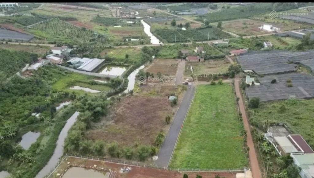 Bán gấp đất đẹp tại xã hoà ninh, huyện di linh, lâm đồng, 1,7 tỷ, 150m2