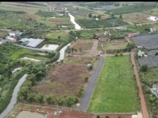 Bán gấp đất đẹp tại xã hoà ninh, huyện di linh, lâm đồng, 1,7 tỷ, 150m2