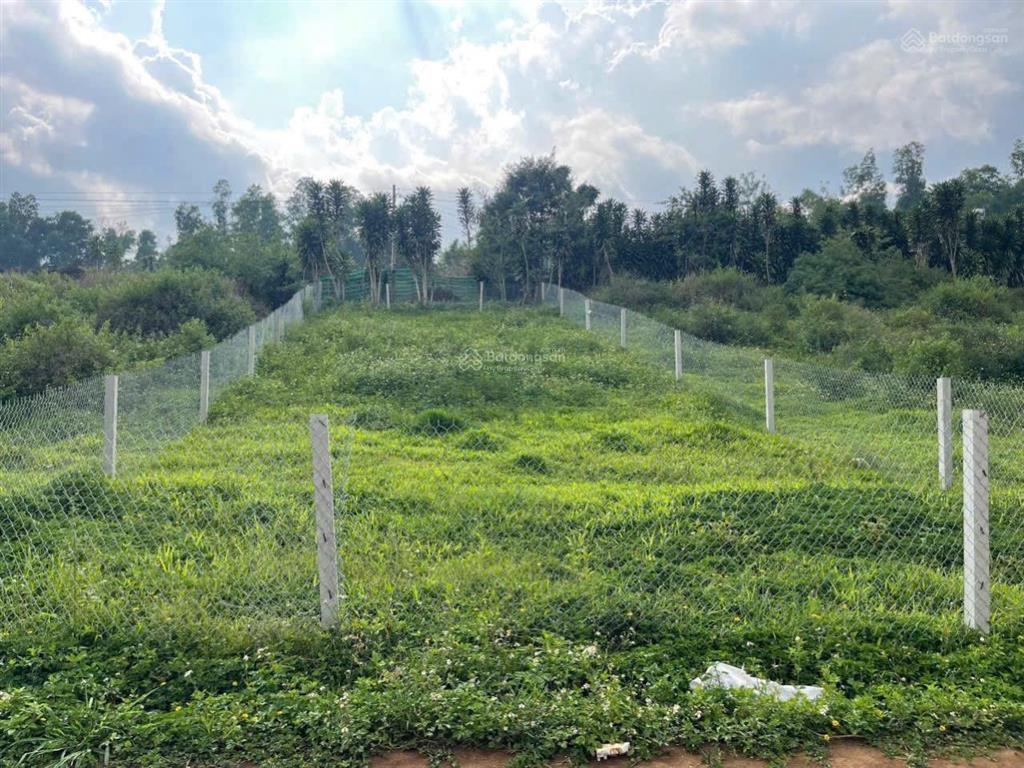 Bán gấp đất đẹp tại xã hoà ninh, huyện di linh, lâm đồng, 1,7 tỷ, 150m2