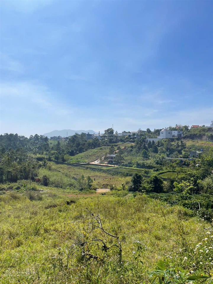 Bán gấp đất đẹp tại xã hoà ninh, huyện di linh, lâm đồng, 1,7 tỷ, 150m2