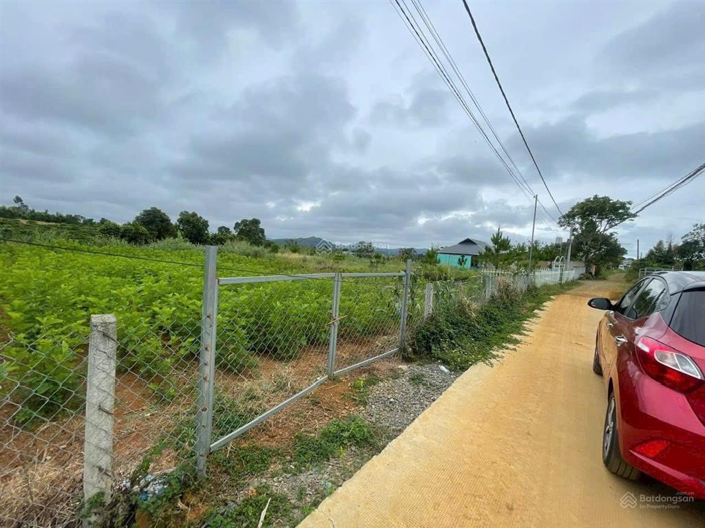 Chính chủ cần bán gấp đất xã hoà ninh, di linh, lâm đồng, 1,8 tỷ, 156 m2