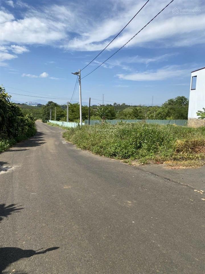 Cần bán gấp xã hoà ninh, di linh, lâm đồng, 2,25 tỷ