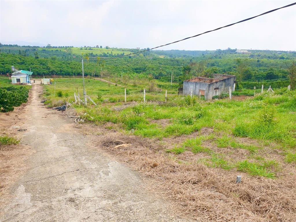 Cần bán gấp xã hoà ninh, di linh, lâm đồng, 2,25 tỷ