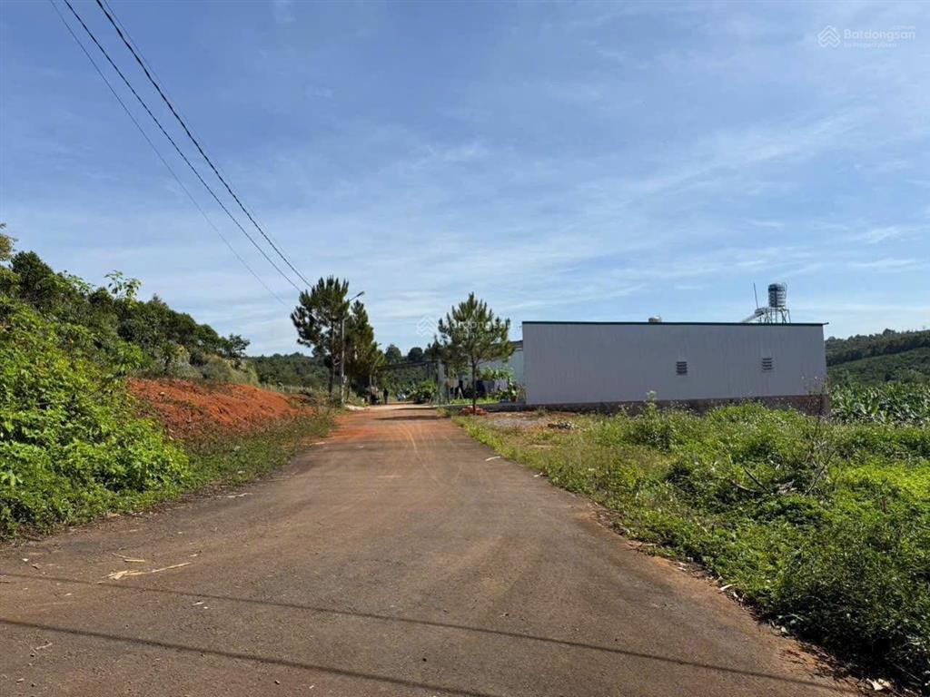 Cần bán gấp xã hoà ninh, di linh, lâm đồng, 2,25 tỷ