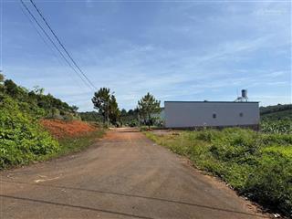 Cần bán gấp xã hoà ninh, di linh, lâm đồng, 2,25 tỷ