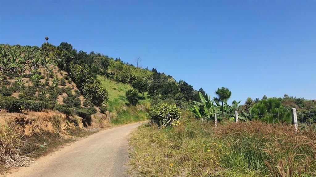 Bán nhanh lô đất xã hoà ninh, huyện di linh, lâm đồng, 1,55 tỷ, 150m2