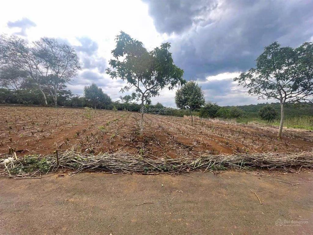 Bán nhanh lô đất xã hoà ninh, huyện di linh, lâm đồng, 1,55 tỷ, 150m2