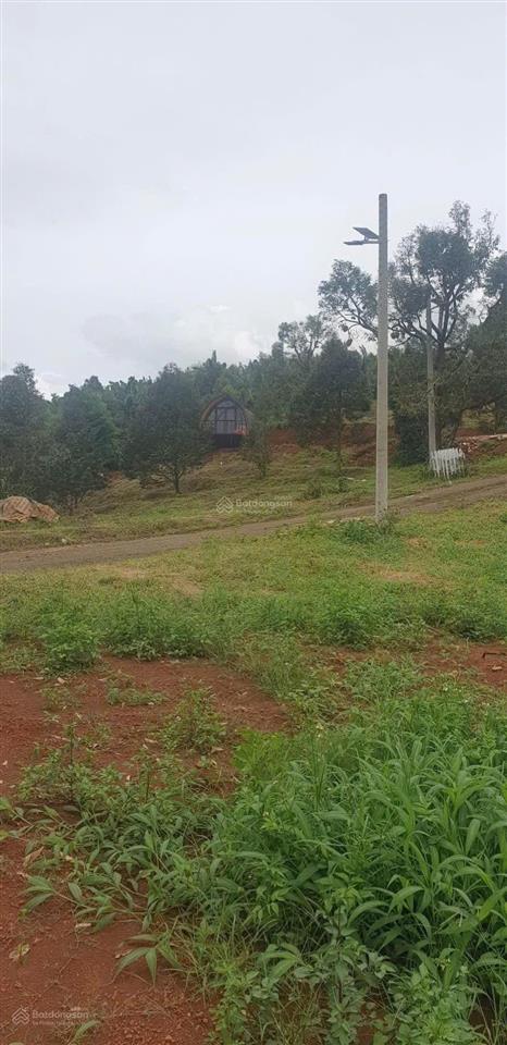 Bán gấp lô 108m2 ở xã hoà bắc, di linh, lâm đồng, 1,29 tỷ, pháp lý đầy đủ