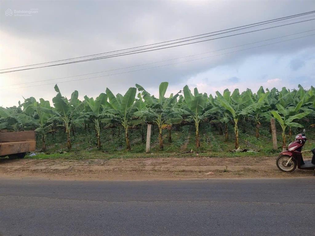 Cần bán gấp đất xã hoà bắc, di linh, lâm đồng, 1,35 tỷ