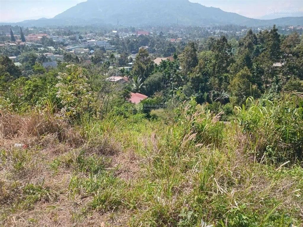 Bán gấp đất tại xã hoà ninh, 1,25 tỷ, 100m2, view đẹp