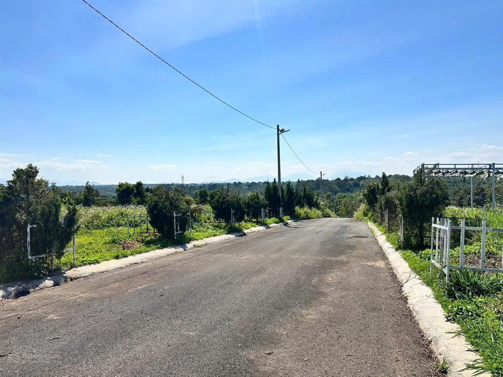 Chủ cần bán gấp lô xã hoà bắc, di linh, lâm đồng, 1,25 tỷ