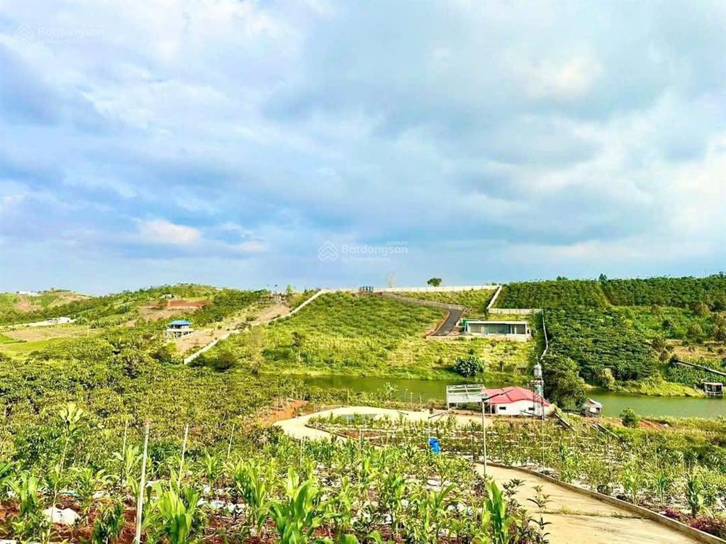 Chủ kẹt bán gấp lô siêu đẹp tại xã hoà ninh, di linh, lâm đồng giá 1 tỷ