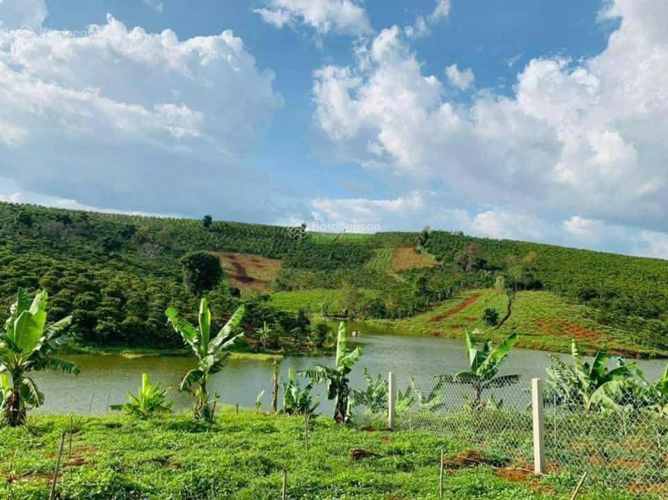 Chủ kẹt bán gấp lô siêu đẹp tại xã hoà ninh, di linh, lâm đồng giá 1 tỷ