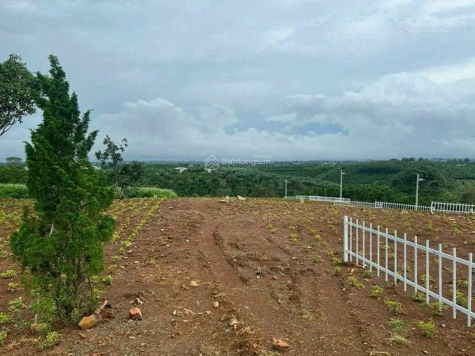Bán gấp đất đẹp, 200m2, 2,35 tỷ tại xã hoà ninh, huyện di linh, lâm đồng